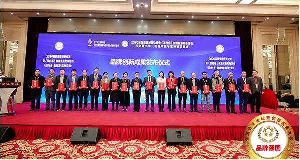 2020品牌強國經濟論壇暨 （第四屆）創新成果發布活動在京召開，中神亞企業榮獲多項殊榮